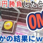 【クレーンゲーム】3000円勝負の後半戦！まさかの結末に驚愕ｗ