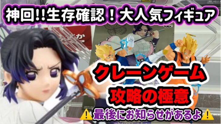 【神回 クレーンゲーム】生存確認!胡蝶しのぶついに発見‼️悟空&ベジータも奇跡の攻略ラッシュ🔥クレーンゲーム3連続神引き【UFOキャッチャー】