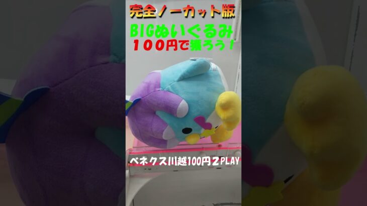 【クレーンゲーム　BIGぬいぐるみを100円で獲る！】ベネクス川越100円２PLAYで、ぷにるはかわいいスライムぬいぐるみをGETするコツをご紹介します。編集無しの完全ノーカット版でお楽しみください！