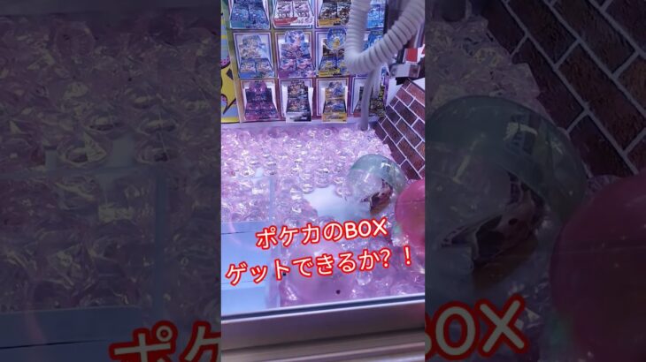 BOXゲットできるか😃？！ #クレーンゲーム #クレーンゲーム景品 #ゲームセンター #クレーンゲーム攻略 #ufoキャッチャー #ポケカ #box