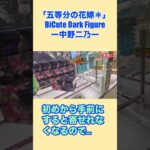 超長箱の攻略法‼️〜BiCute Dark 五等分の花嫁　ニ乃 #クレーンゲーム #プライズ獲得 #ufoキャッチャー #橋渡し