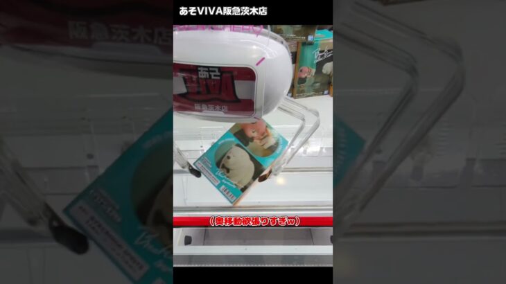 【縦回し】「スパイファミリー Break time collection アーニャ・フォージャー＆ボンド・フォージャーⅡ」をあそVIVA阪急茨木店の橋渡しで取ってきた！クレーンゲームで獲得の攻略コツ！