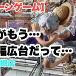 【クレーンゲーム】CGS岩槻店でニカが設定甘くなったので取ってきた件。