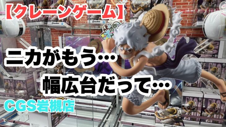 【クレーンゲーム】CGS岩槻店でニカが設定甘くなったので取ってきた件。