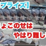 【クレーンゲーム】CGS岩槻店のちょこのせは難しい？