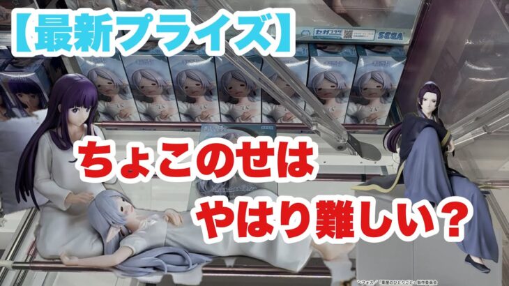 【クレーンゲーム】CGS岩槻店のちょこのせは難しい?