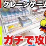 【DMMオンクレLIVE】オンラインクレーンゲームで人気プライズフィギュアをリアルタイム攻略！/ Online Crane Game