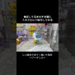 【２つの隙間】ソーナンスGET！　#ポケットモンスター #ポケモン #pokemon #ぬいぐるみ #クレーンゲーム