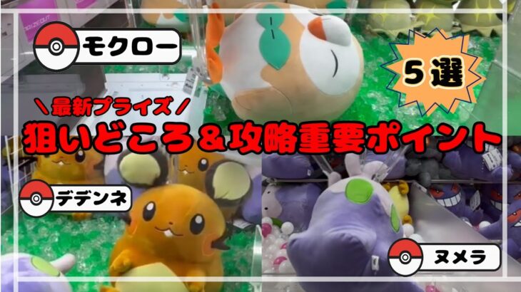 【完全攻略】　デデンネ・ヌメラ・モクローを確率無視でGET！　　#ポケモン#pokemon #ポケットモンスター #クレーンゲーム#ぬいぐるみ