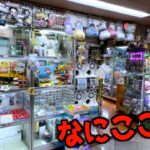 何でもやりたい放題のヤバい店でポケカGETしまくってみたww【ポケモンカード／ポケモン】