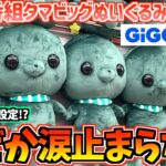 【教育番組クレゲ】無理ゲー!?教育番組タマビッグぬいぐるみに挑戦!【きょういくばんぐみ】【GIGO】【クレーンゲーム】【UFOキャッチャー】【最新プライズ】【プライズぬいぐるみ】