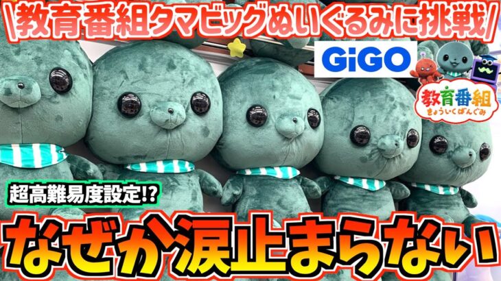 【教育番組クレゲ】無理ゲー!?教育番組タマビッグぬいぐるみに挑戦！【きょういくばんぐみ】【GIGO】【クレーンゲーム】【UFOキャッチャー】【最新プライズ】【プライズぬいぐるみ】