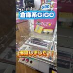 【完全攻略】クレーンゲーム新店舗GIGOの本気がエグすぎてやばい!#shorts #youtubeshorts #クレーンゲーム #ufoキャッチャー #ゲームセンター