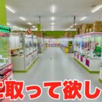 景品何取って欲しい???【クレーンゲーム生配信】もってきーなKAKEGAWA