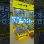 【 クレーンゲーム 】静岡県掛川最大級!オープン前のゲーセン調査してきた!【 もってきーな KAKEGAWA ufoキャッチャー 】 #ゲームセンター #クレーンゲーム