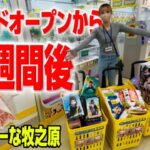 クレゲ旅:静岡県のゲーセン貸切でクレーンゲームしたらお菓子もフィギュアも取れすぎてヤバい【 #もってきーなMAKINOHARA 】 【 #もっ牧 】