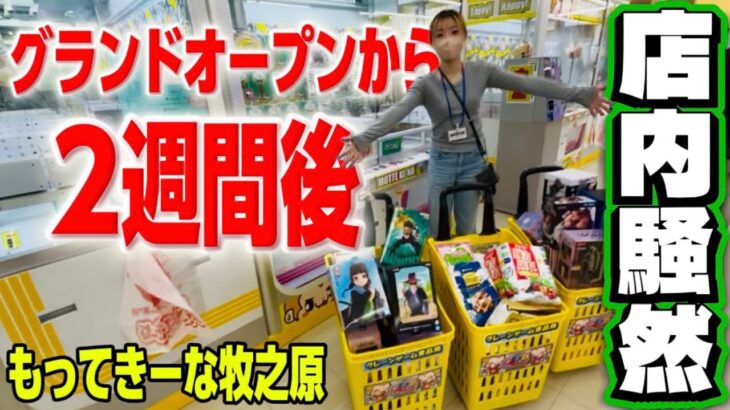 クレゲ旅:静岡県のゲーセン貸切でクレーンゲームしたらお菓子もフィギュアも取れすぎてヤバい【 #もってきーなMAKINOHARA 】 【 #もっ牧 】