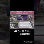 【クレーンゲーム】アニメ「鬼滅の刃」 MAXIMATIC SHINOBU KOCHO #demonslayer ＃鬼滅の刃#CGS岩槻