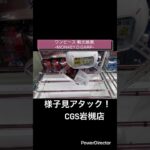 【クレーンゲーム】ワンピース 戦光絶景-MONKEY.D.GARP- #onepiece #ワンピース #アニソン #万代書店 #クレーンゲーム #プライズ獲得 #cgs岩槻