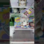 新店OPEN前に潜入した店が取れすぎてヤバいww#クレーンゲーム