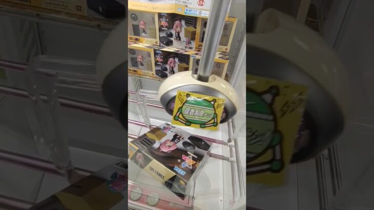 【SPY×FAMILY】スパイファミリー クレーンゲーム アーニャ #shorts