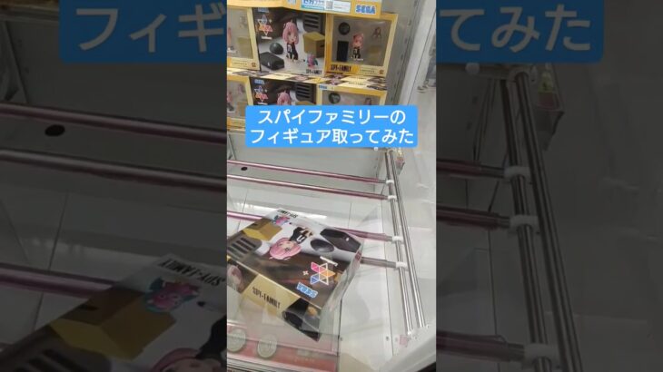 【SPY×FAMILY】スパイファミリー クレーンゲーム アーニャ #shorts