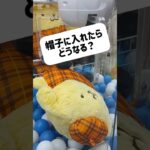 【クレーンゲーム】ポムポムプリン攻略法は帽子なの？🎃#ポムポムプリン#クレーンゲーム#攻略法#サンリオ#Sanrio#ぬいぐるみ#グッズ#新作#最新#UFOキャッチャー#Pompompurin