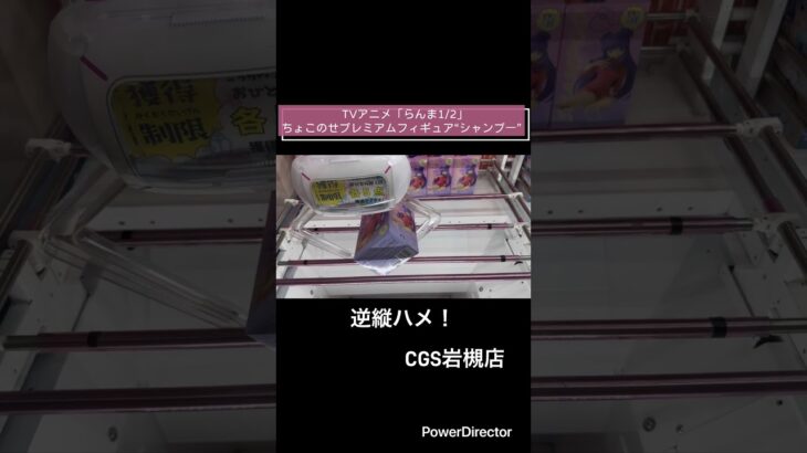 【クレーンゲーム】TVアニメ「らんま1/2」ちょこのせプレミアムフィギュア“シャンプー” #クレーンゲーム　#cgs岩槻  #万代書店