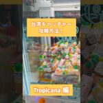 【クレーンゲーム】台湾キャッチャー攻略方法 Tropicana 編🧃 #クレーンゲーム #台湾キャッチャー #UFOキャッチャー #ゲームセンター #おたちゅう #攻略方法 #帰れまてん
