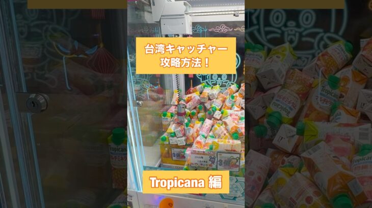 【クレーンゲーム】台湾キャッチャー攻略方法 Tropicana 編🧃 #クレーンゲーム #台湾キャッチャー #UFOキャッチャー #ゲームセンター #おたちゅう #攻略方法 #帰れまてん