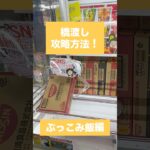【クレーンゲーム】橋渡し攻略方法 ぶっこみ飯 編🎮🔥 #クレーンゲーム #攻略方法 #橋渡し #ぶっこみ飯 #UFOキャッチャー #クレーンゲーム動画 #クレーンゲーム攻略 #ゲームセンター