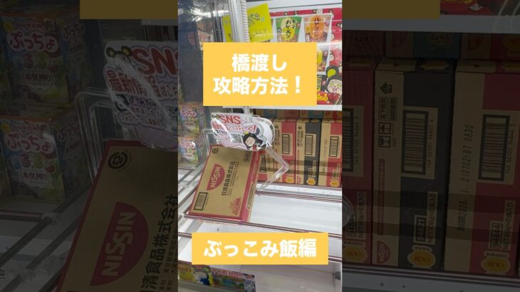 【クレーンゲーム】橋渡し攻略方法 ぶっこみ飯 編🎮🔥 #クレーンゲーム #攻略方法 #橋渡し #ぶっこみ飯 #UFOキャッチャー #クレーンゲーム動画 #クレーンゲーム攻略 #ゲームセンター
