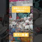 【クレーンゲーム】台湾キャッチャー攻略方法 天下一品 編！　#クレーンゲーム #UFOキャッチャー #ゲームセンター #おたちゅう #攻略方法 #帰れまてん