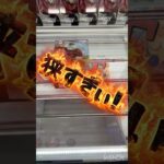 【クレーンゲーム】大ヒット中の景品は取れるの？【UFOキャッチャー】