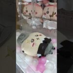 【クレーンゲーム】ちいかわ運んでみろッ💛ラッコ先輩攻略💛　#ちいかわ#クレーンゲーム#ラッコ#先輩#ぬいぐるみ#グッズ#最新#新作#プライズ#取り方#攻略#UFOキャッチャー#初登場#娃娃机#吉伊卡哇
