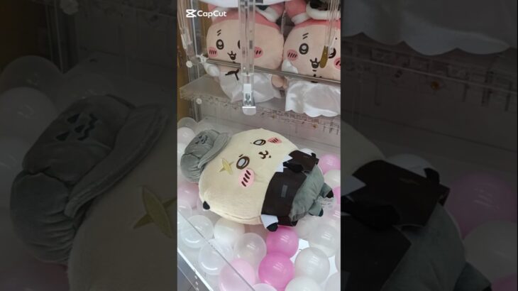 【クレーンゲーム】ちいかわ運んでみろッ💛ラッコ先輩攻略💛　#ちいかわ#クレーンゲーム#ラッコ#先輩#ぬいぐるみ#グッズ#最新#新作#プライズ#取り方#攻略#UFOキャッチャー#初登場#娃娃机#吉伊卡哇