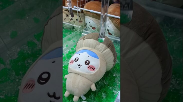 【クレーンゲームちいかわ】きのこ着ぐるみ攻略法💛 #ちいかわ#きのこ#ハチワレ#うさぎ#クレーンゲーム#ぬいぐるみ#グッズ#最新#新作#プライズ#攻略法#UFOキャッチャー#ちい活#吉伊卡哇#娃娃机