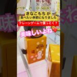 【コツ教えてください】きなこもちが食べたくなる季節になりました #クレーンゲーム #UFOキャッチャー #きなこ #shorts