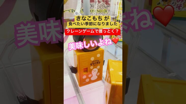【コツ教えてください】きなこもちが食べたくなる季節になりました #クレーンゲーム #UFOキャッチャー #きなこ #shorts