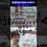 気ままにUFOキャッチャー2　ラスワン賞もろたで【セガUFOキャッチャーオンライン】#shorts