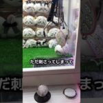 出禁注意、パワーが弱かったので裏ワザで強くしてみた #クレーンゲーム #clawmachine #ufoキャッチャー #つるなか #ちいかわぬいぐるみ