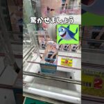 クレーンゲーム!!cranegame!!ufocatcher #クレーンゲーム #ufoキャッチャー #クレーンゲーム攻略 #ゲームセンター #ゲーセン #すーぱーそに子