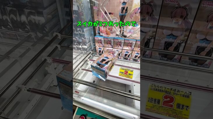 クレーンゲーム!!cranegame!!ufocatcher #クレーンゲーム #ufoキャッチャー #クレーンゲーム攻略 #ゲームセンター #ゲーセン #すーぱーそに子