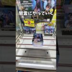 クレーンゲーム!!cranegame!!ufocatcher #クレーンゲーム #ufoキャッチャー #クレーンゲーム攻略 #ゲームセンター #ゲーセン #東方project #東方