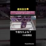 【クレーンゲーム】ホロライブ #hololive IF -Relax time-ラプラス・ダークネス　#cgs岩槻 #ゲームセンター