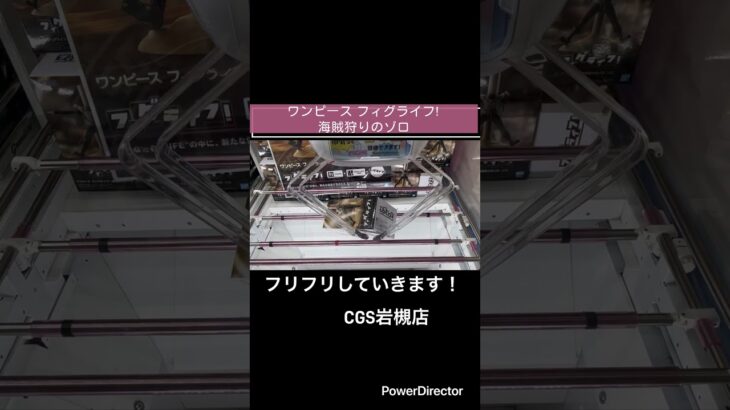 【クレーンゲーム】ワンピース フィグライフ! 海賊狩りのゾロ #onepiece #ワンピース #CGS岩槻