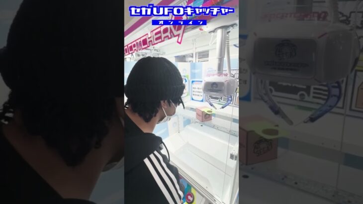 新設定【リング箱】プレイしてみた!!part1【セガUFOキャッチャーオンライン】#shorts