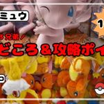 【しっぽトリオ】ミュウ・ヒトカゲ・フォッコの攻略法!! #ポケモン#pokemon #ポケットモンスター #クレーンゲーム#ぬいぐるみ