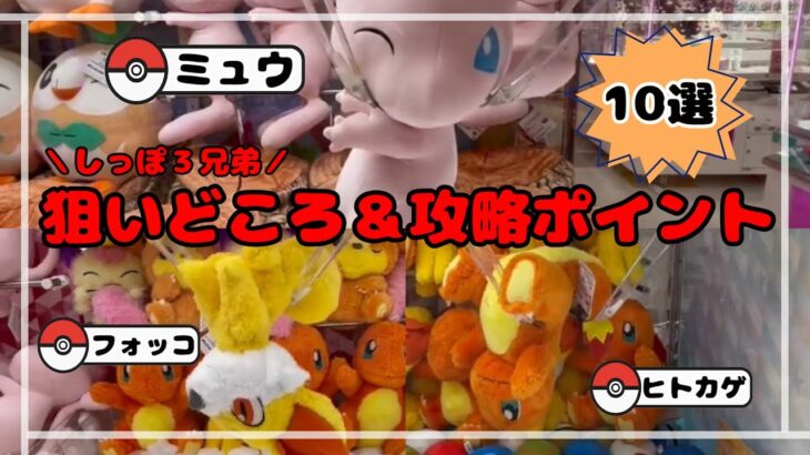 【しっぽトリオ】ミュウ・ヒトカゲ・フォッコの攻略法！！　#ポケモン#pokemon #ポケットモンスター #クレーンゲーム#ぬいぐるみ