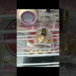 ベネクス浦和店のクレーンゲームで抹茶クリームサンドの景品をゲット #shorts